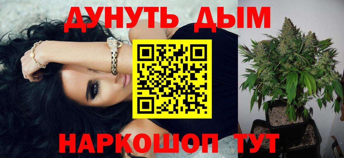 Шишки марихуана тримм  Каннабис план  Вход с VPN  Бошки Шишки планчик  Будённовск 